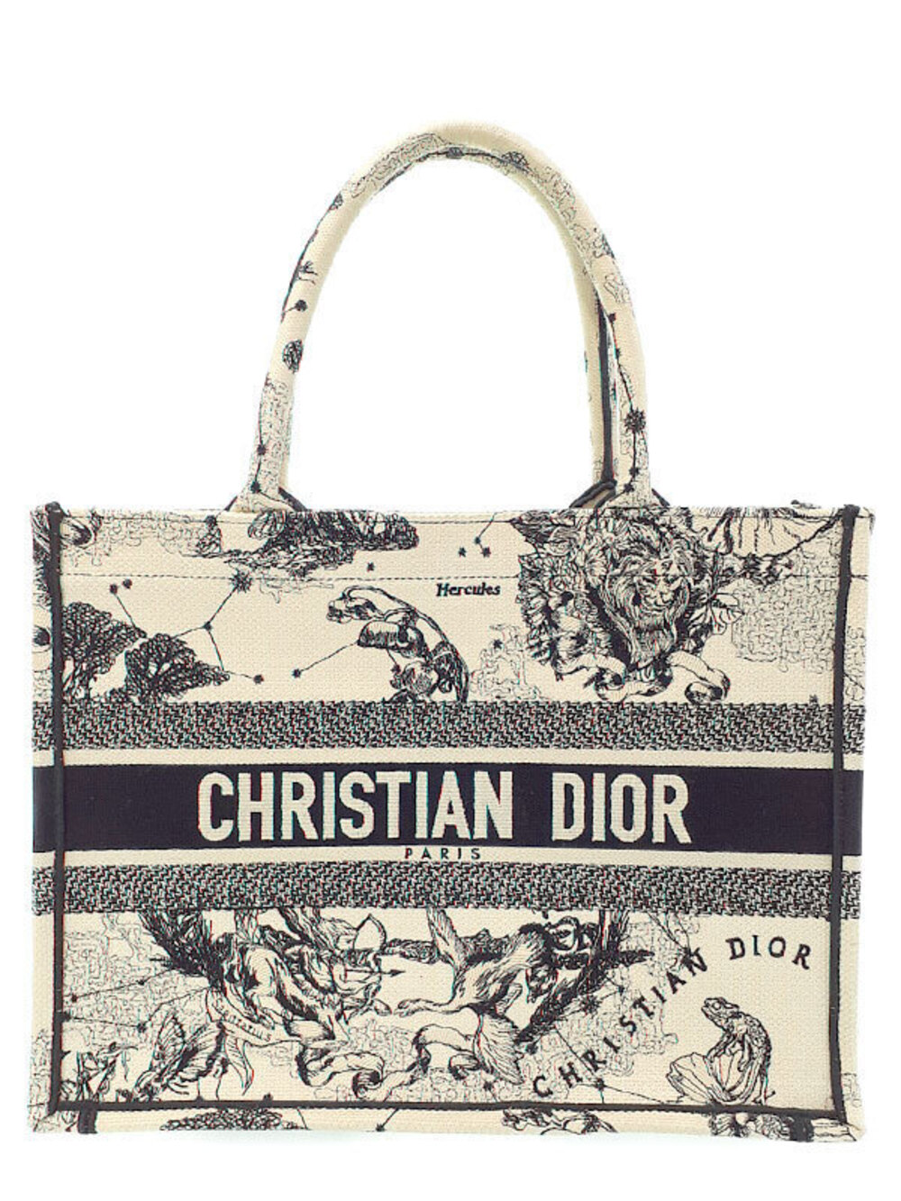 Christian Dior Toile de Jouy Zodiac Embroidery Book Tote